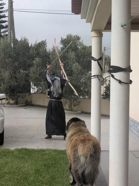 One of us alone in a driveway in costume, staff raised mid-incantation, while a very large dog declines to look